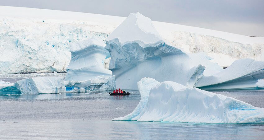 Antarktis oder Arktis – Der ultimative Vergleich der Polarwelten