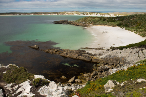Küste mit Blick auf einen Sandstrand das Meer von den Falklandinseln