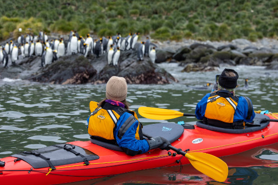 Kreuzfahrtgäste beobachten Pinguine direkt aus dem Kajak
