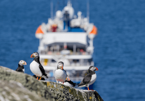 Papageientaucher stehen auf einem Felsen und im Hintergrund sieht man das Kreuzfahrtschiff von Poseidon Expeditions