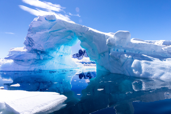 Die ultimative Naturexpedition