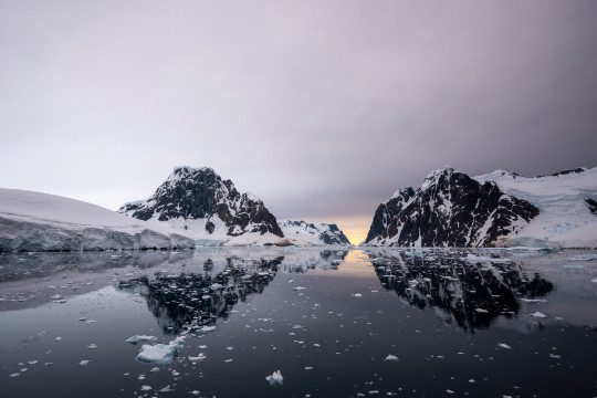 Spiegelglattes Meer in der Antarktis mit schneebedeckten Bergen
