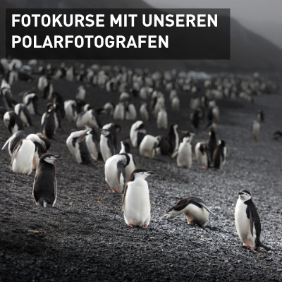 Fotokurs