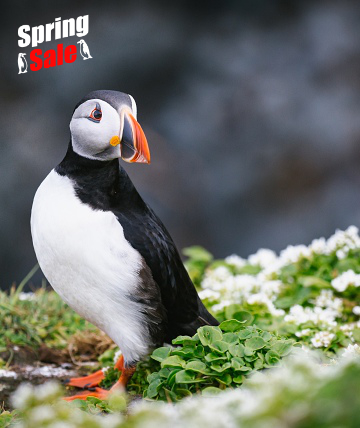 Legendäre Geschichte und wilde Natur: Britische Inseln