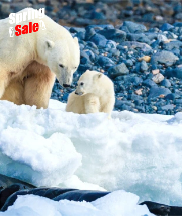 Das Beste von Spitzbergen