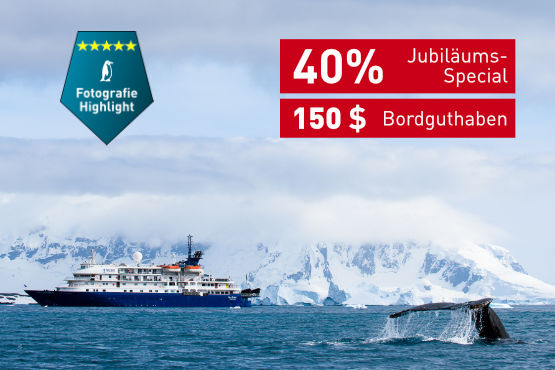 Tierparadies der Subantarktis