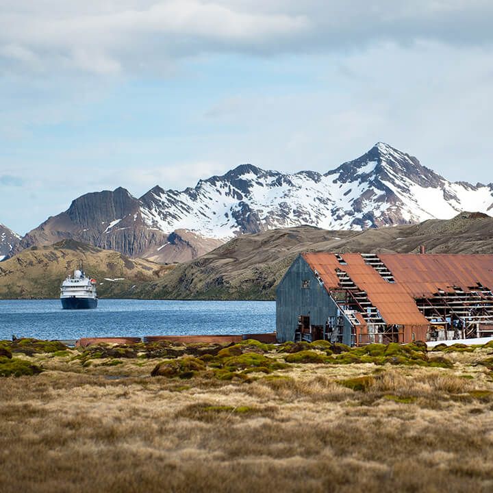 Antarktis. Falklandinseln & Südgeorgien. LEBEN AM ENDE DER WELT