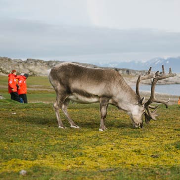 Arktis. Das Beste von Spitzbergen. ARKTISCHE WILDNIS