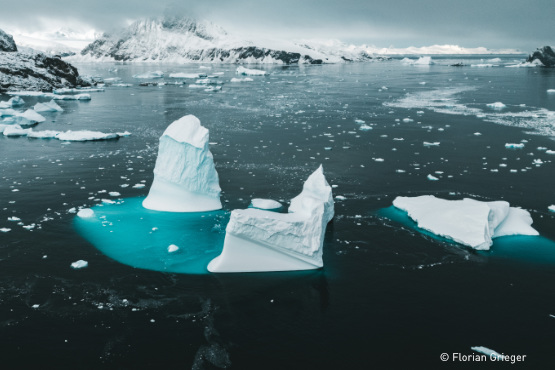 Im Reich der Pinguine und Eisberge