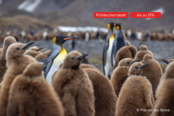Tierparadies der Subantarktis