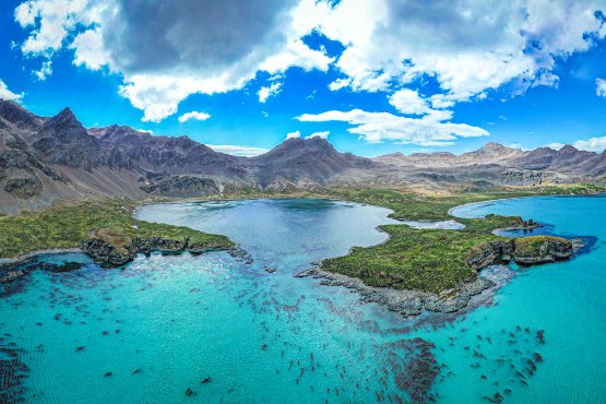 Kristallklares Wasser an den Küsten der Falklandinseln