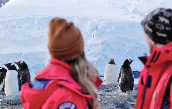 Im Reich der Pinguine und Eisberge