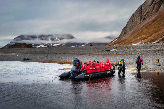 Arktis Expedition Intensiv: Im Land der Eisbären