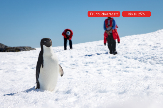 Im Reich der Pinguine und Eisberge