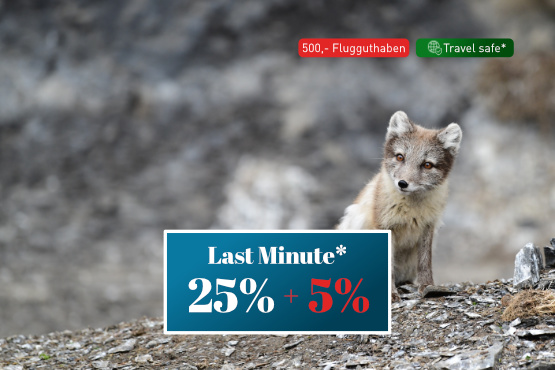 Das Beste von Spitzbergen
