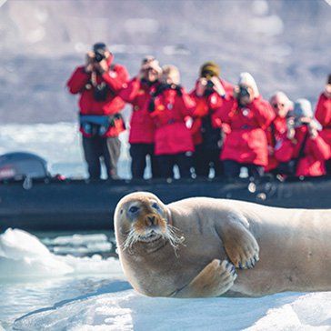 Arktis. Spitzbergen, Grönland & Island. SPITZBERGEN