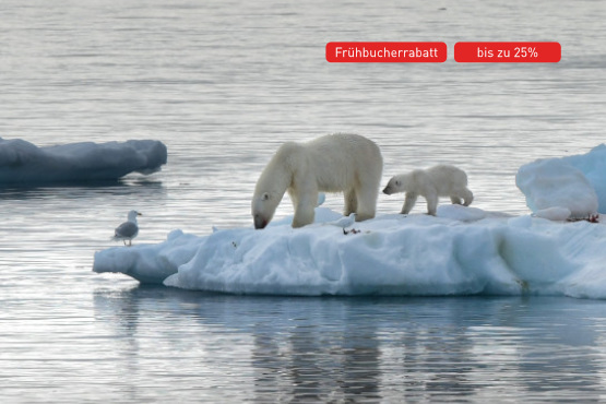 Arktis Expedition Intensiv: Im Land der Eisbären