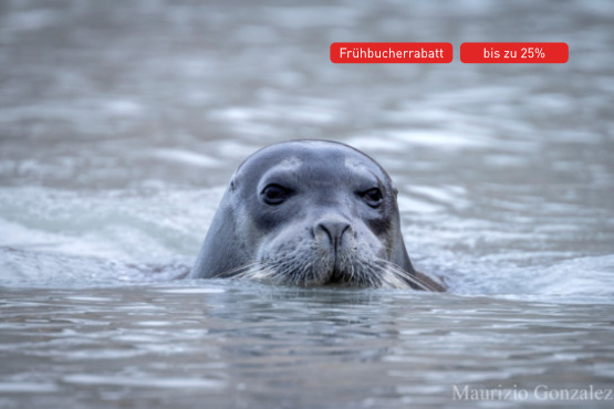 Drei Perlen der Arktis: Spitzbergen, Grönland & Island