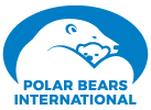Polar bear international