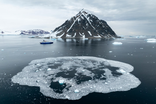 Eisschollen im Meer. Im Hintergrund das Kreuzfahrtschiff und die hohen berge der Antarktis