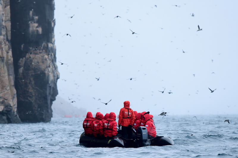 Schlauchboot mit Gästen der Kreuzfahrt an einem Vogelfelsen in Spitzbergen. Es sind viele Vögel in der Luft zu sehen.