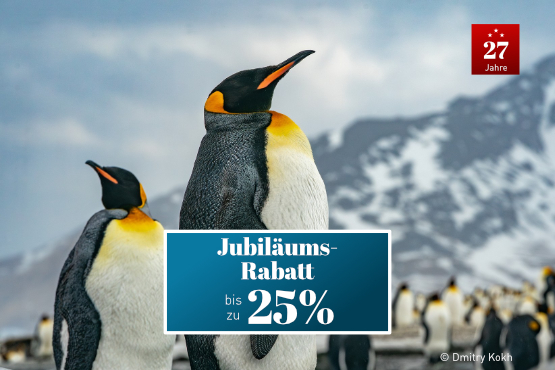 Tierparadies der Subantarktis