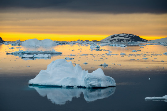 Im Sonnenuntergang treiben Eisberge im Wasser in der Antarktis