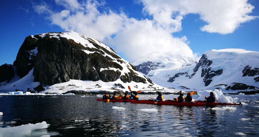 KayakWithWhales1