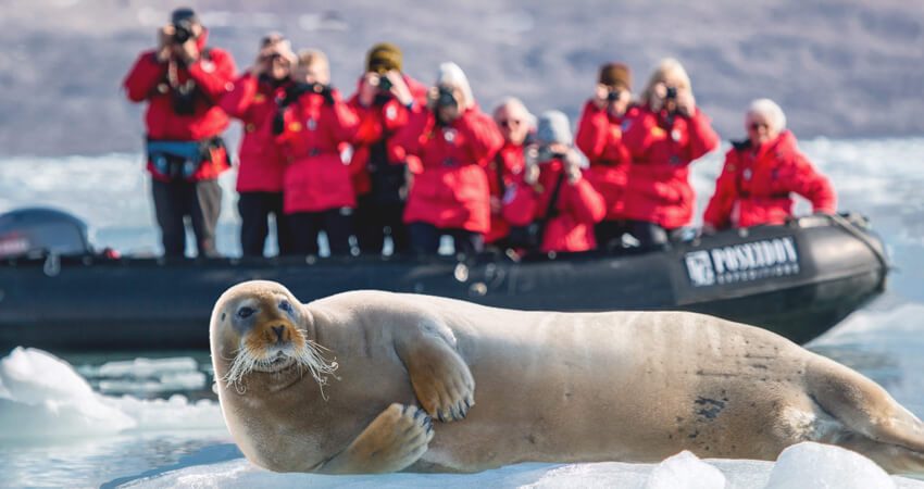 ArcticSealsofSvalbard