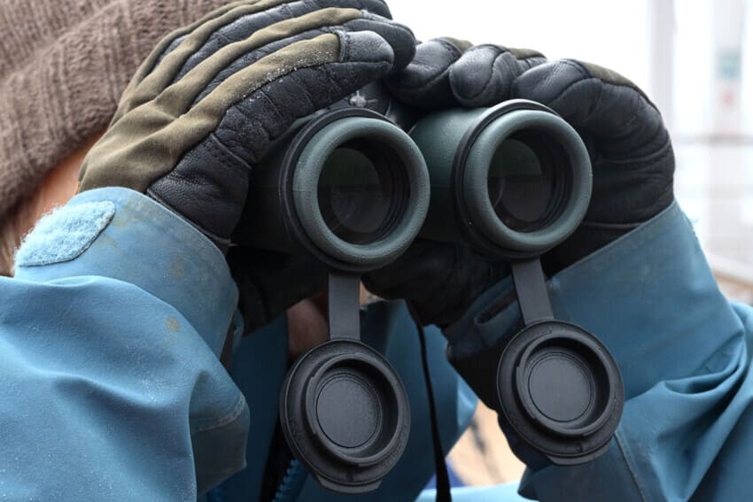 Spitzbergen-Erlebnisreise-Schiffsreise-Kreuzfahrt_Fernglas-6