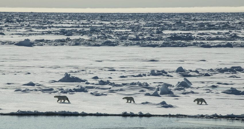 famous-arctic-expeditions-0