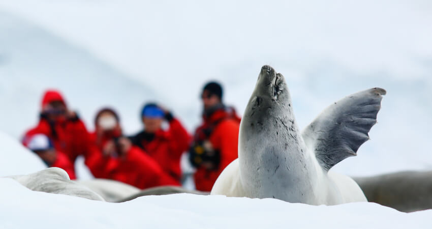 what-i-learned-by-visiting-antarctica-5