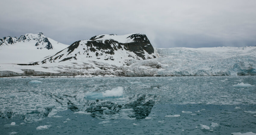 das-beste-der-polarregionen-4