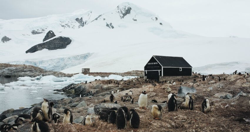 what-i-learned-by-visiting-antarctica-4