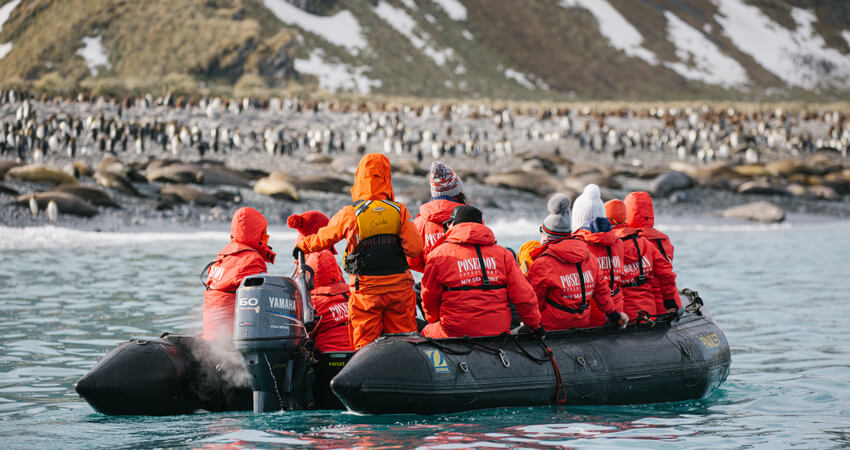 Schlauchboot mit Gästen der Expeditionskreuzfahrt fährt entlang der Küste von Südgeorgien und beobachtet die großen Kolonien von Königspinguinen 7-Gruende03