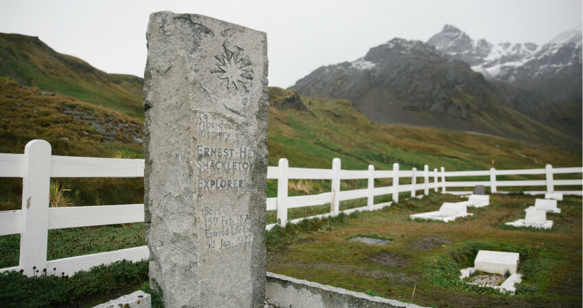 das-beste-der-polarregionen-3-3