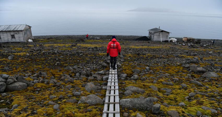 Kreuzfahrtgast geht über einen Holzpfad zu den Hütten auf Franz Josef Land FJLpt2_04