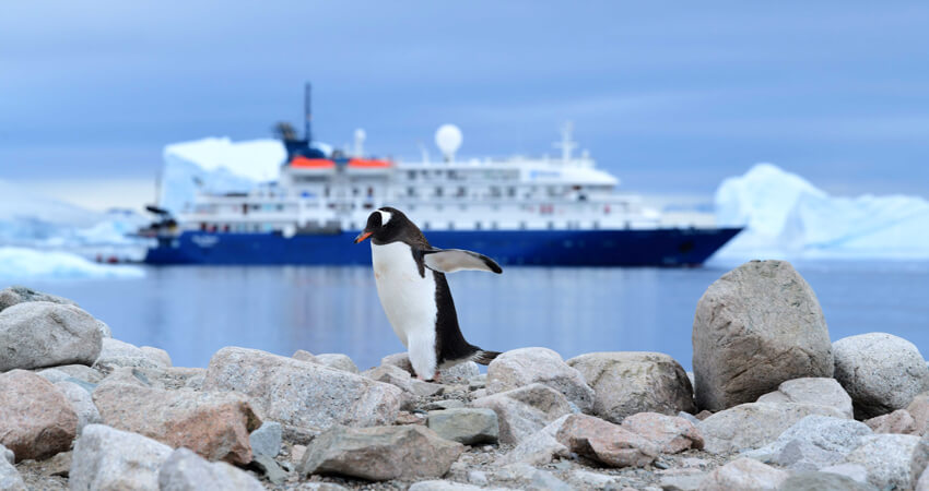 what-i-learned-by-visiting-antarctica-1