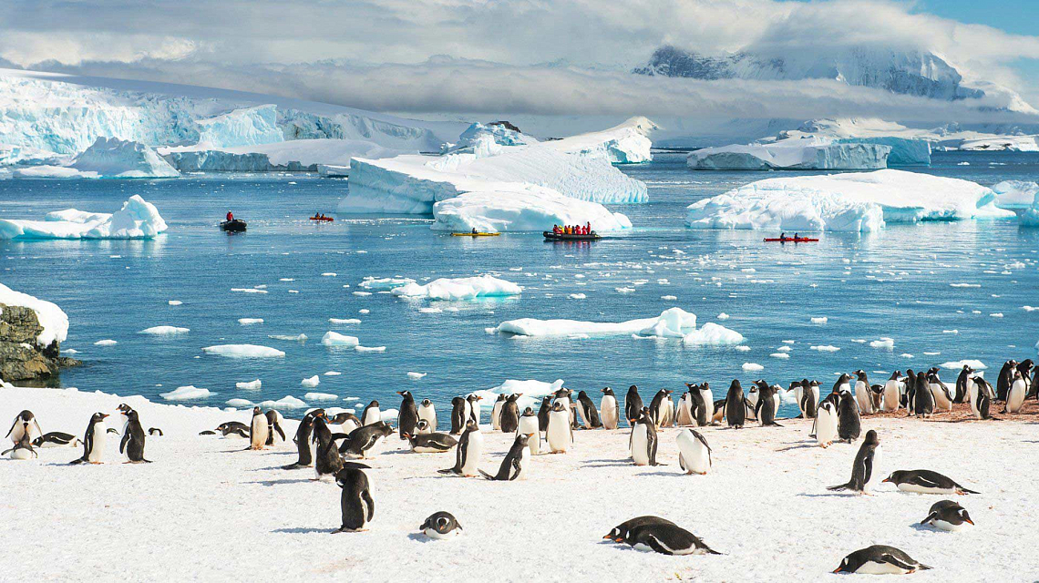 Pinguine und Eisberge - Die Natur der Antarktis ist ein unbeschreibliches Erlebnis.